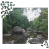 Jigsaw puzzle