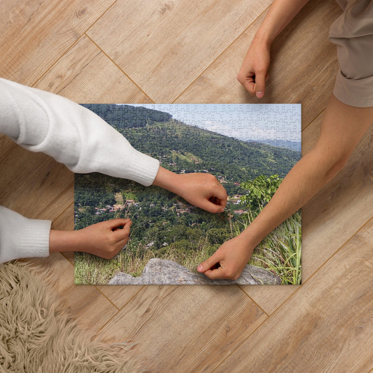 Jigsaw puzzle